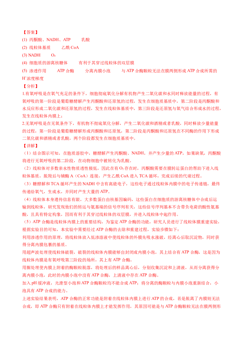 生物-2024年高考终极押题猜想（解析版）_2024年新高考资料_5.2024三轮冲刺_生物-2024年高考终极押题猜想