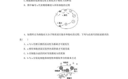 2023版新教材高考生物微专题小练习专练14细胞的物质输入和输出的图表解读202208091178_通用版（老高考）复习资料_2023年复习资料_一轮复习_2023届高考生物一轮微专题100练
