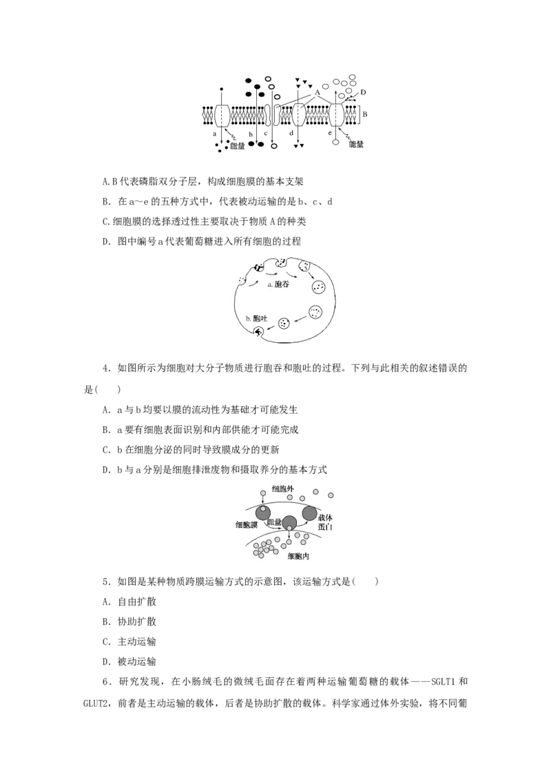2023版新教材高考生物微专题小练习专练14细胞的物质输入和输出的图表解读202208091178_通用版（老高考）复习资料_2023年复习资料_一轮复习_2023届高考生物一轮微专题100练