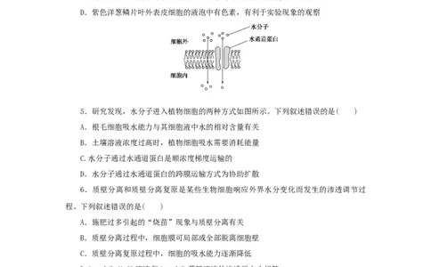 2023版新教材高考生物微专题小练习专练12被动运输202208091176_通用版（老高考）复习资料_2023年复习资料_一轮复习_2023届高考生物一轮微专题100练