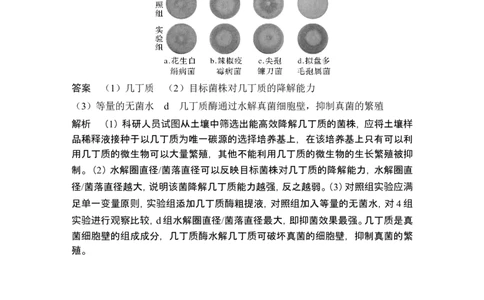 热点微练21微生物的培养与应用(尖子生特训)_2024年新高考资料_1.2024一轮复习_2024年高考生物一轮复习讲义（新人教版）_另附1套Word版题库_选择性必修3_第十单元生物技术与工程