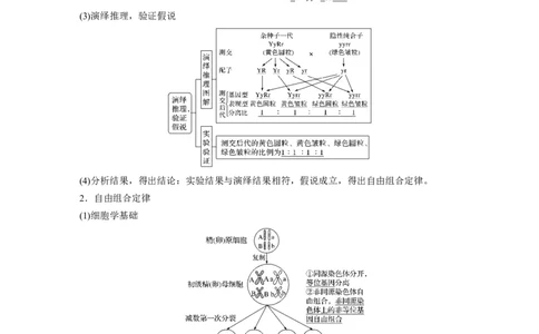 2022年高考生物一轮复习第5单元第15讲　基因的自由组合定律_新高考复习资料_2022年新高考复习资料_2022年一轮复习最新版_1.2022年高考生物一轮复习全国通用版