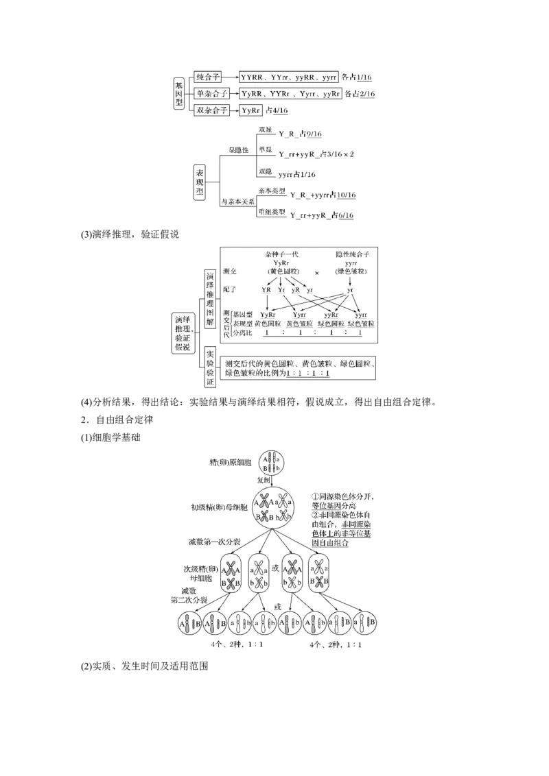 2022年高考生物一轮复习第5单元第15讲　基因的自由组合定律_新高考复习资料_2022年新高考复习资料_2022年一轮复习最新版_1.2022年高考生物一轮复习全国通用版