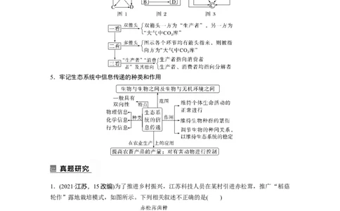 2023年高考生物二轮复习（全国版）第1篇专题突破专题7考点2　生态系统的结构与功能_通用版（老高考）复习资料_2023年复习资料_二轮复习_2023年高考生物二轮复习讲义+课件（全国版）