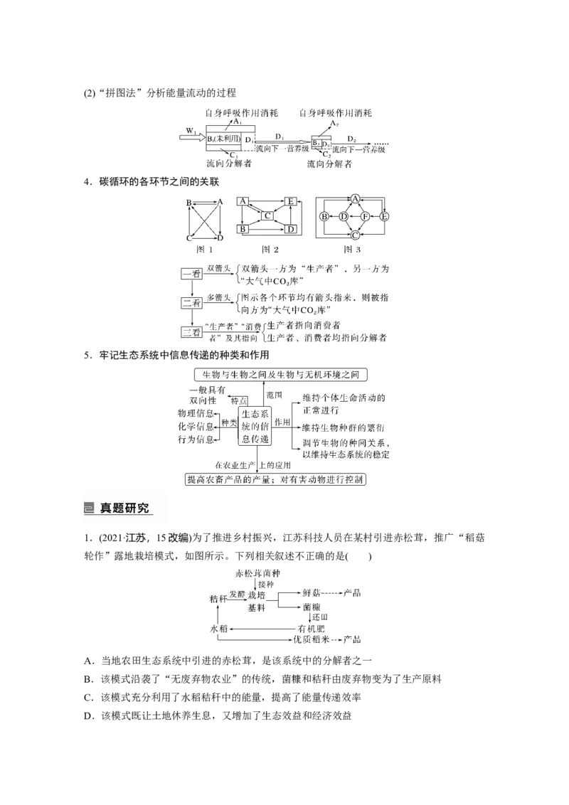 2023年高考生物二轮复习（全国版）第1篇专题突破专题7考点2　生态系统的结构与功能_通用版（老高考）复习资料_2023年复习资料_二轮复习_2023年高考生物二轮复习讲义+课件（全国版）