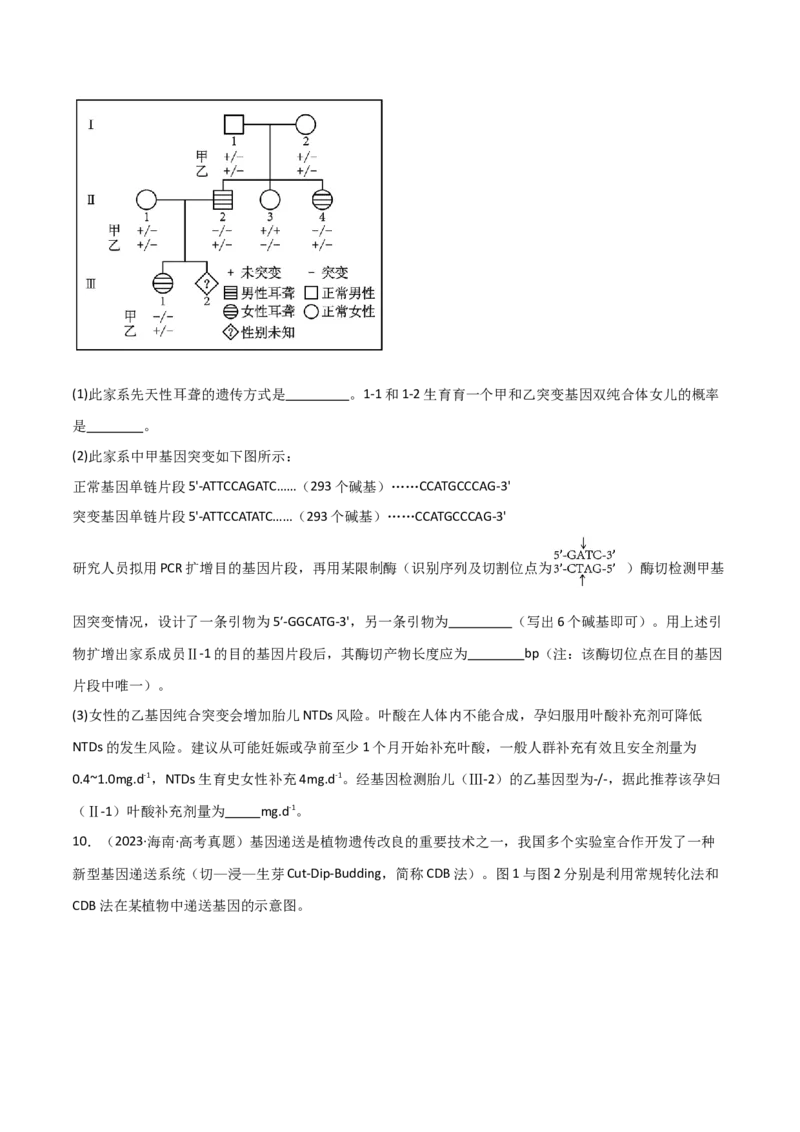 知识清单22基因工程（原卷版）_2024年新高考资料_1.2024一轮复习_2024年高考生物一轮复习知识清单