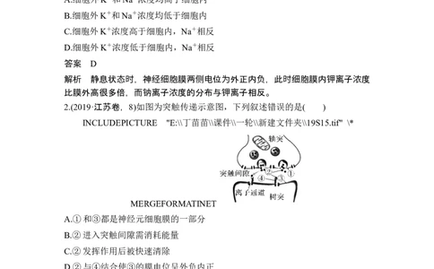 热点微练15神经调节中的离子与神经递质(尖子生特训)_2024年新高考资料_1.2024一轮复习_2024年高考生物一轮复习讲义（新人教版）_另附1套Word版题库_选择性必修1_第八单元稳态与调节