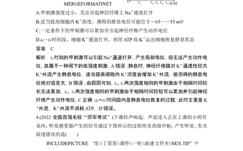 热点微练15神经调节中的离子与神经递质(尖子生特训)_2024年新高考资料_1.2024一轮复习_2024年高考生物一轮复习讲义（新人教版）_另附1套Word版题库_选择性必修1_第八单元稳态与调节