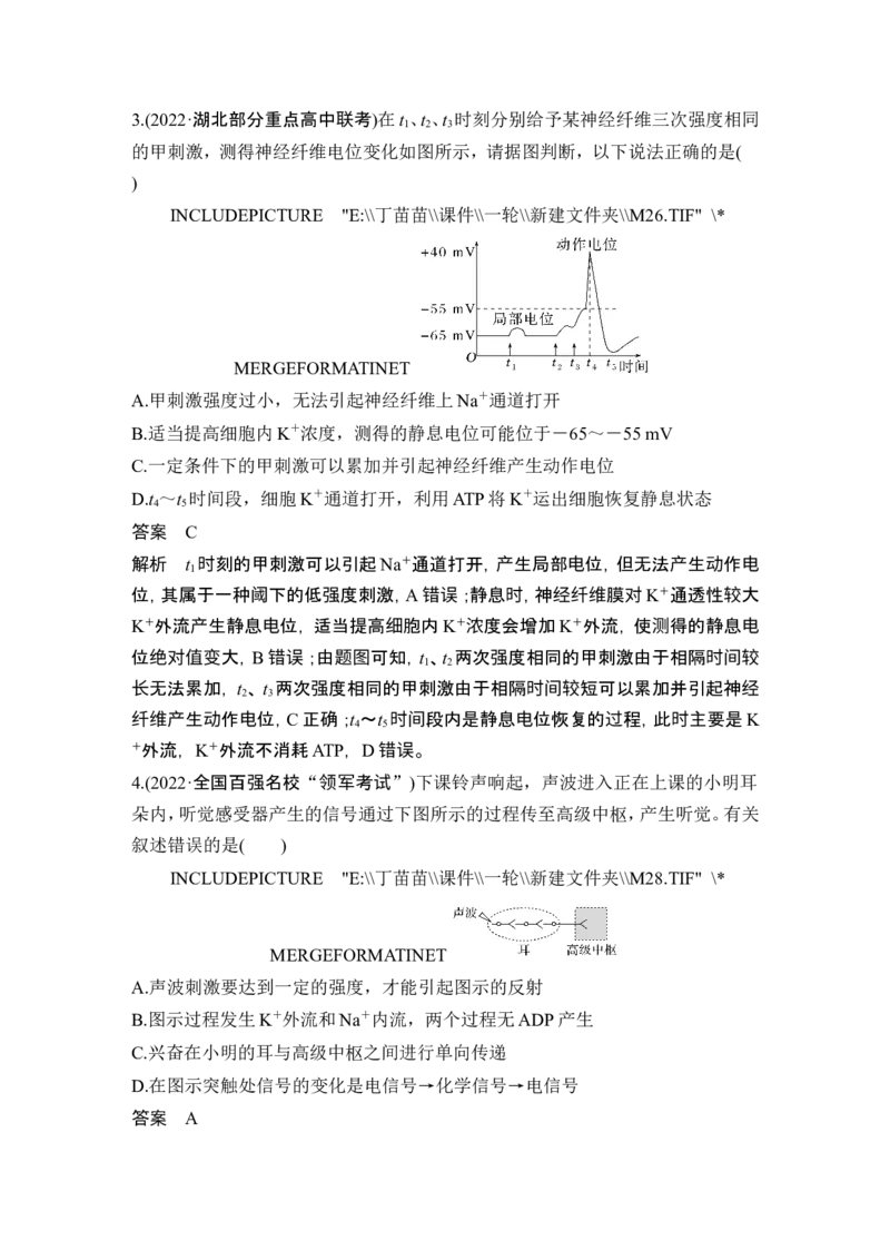 热点微练15神经调节中的离子与神经递质(尖子生特训)_2024年新高考资料_1.2024一轮复习_2024年高考生物一轮复习讲义（新人教版）_另附1套Word版题库_选择性必修1_第八单元稳态与调节