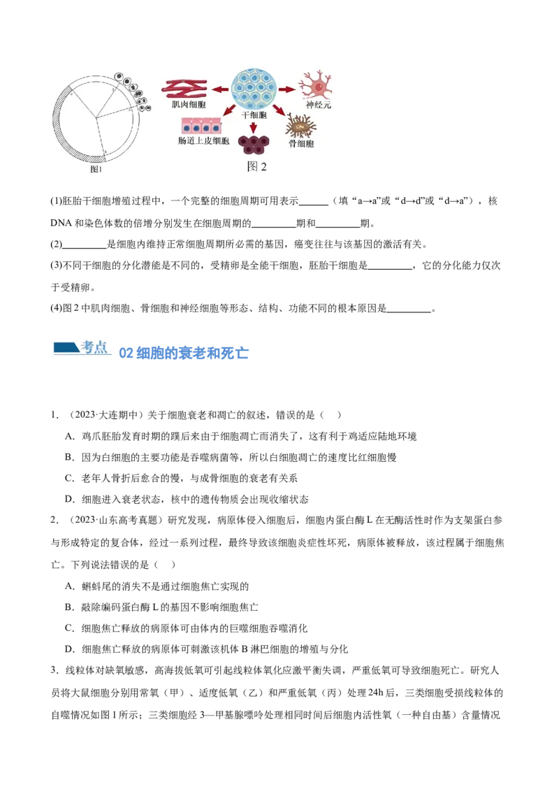 第06讲细胞的分化、衰老和死亡（练习）（原卷版）_2024年新高考资料_2.2024二轮复习_2024年高考生物二轮复习讲练测（新教材新高考）