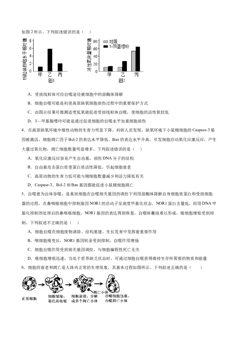 第06讲细胞的分化、衰老和死亡（练习）（原卷版）_2024年新高考资料_2.2024二轮复习_2024年高考生物二轮复习讲练测（新教材新高考）