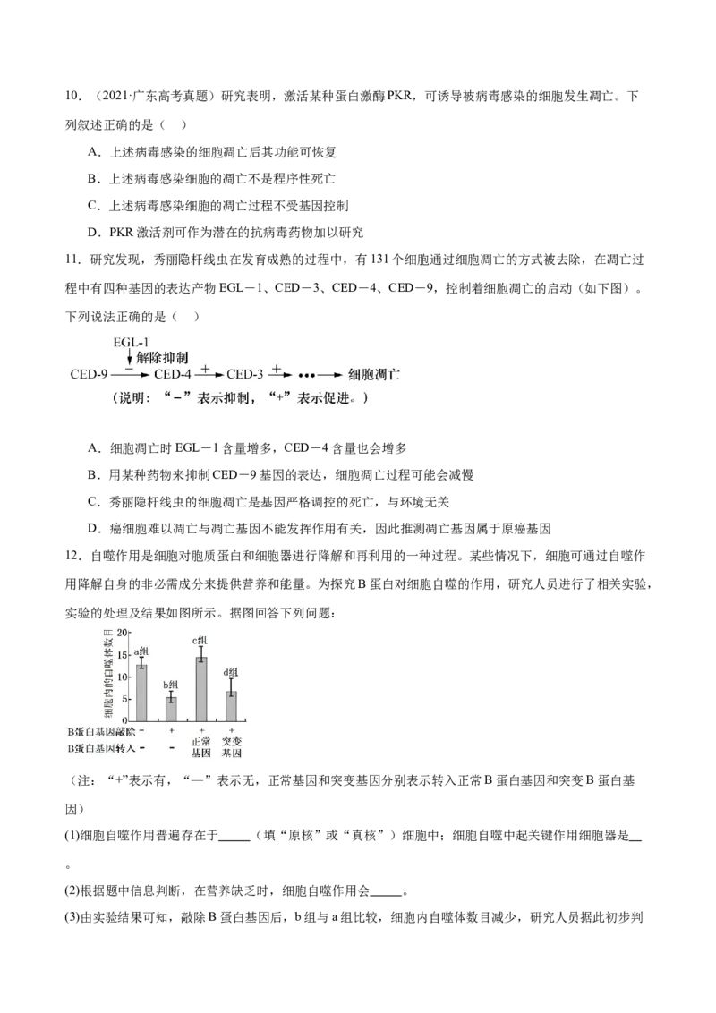 第06讲细胞的分化、衰老和死亡（练习）（原卷版）_2024年新高考资料_2.2024二轮复习_2024年高考生物二轮复习讲练测（新教材新高考）