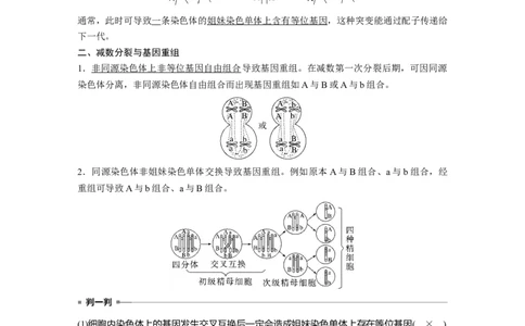 2023年高考生物一轮复习（全国版）第4单元微专题三　减数分裂与可遗传变异的关系_通用版（老高考）复习资料_2023年复习资料_一轮复习_2023年高考生物一轮复习讲义+课件（全国版）