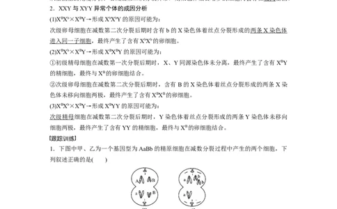 2023年高考生物一轮复习（全国版）第4单元微专题三　减数分裂与可遗传变异的关系_通用版（老高考）复习资料_2023年复习资料_一轮复习_2023年高考生物一轮复习讲义+课件（全国版）
