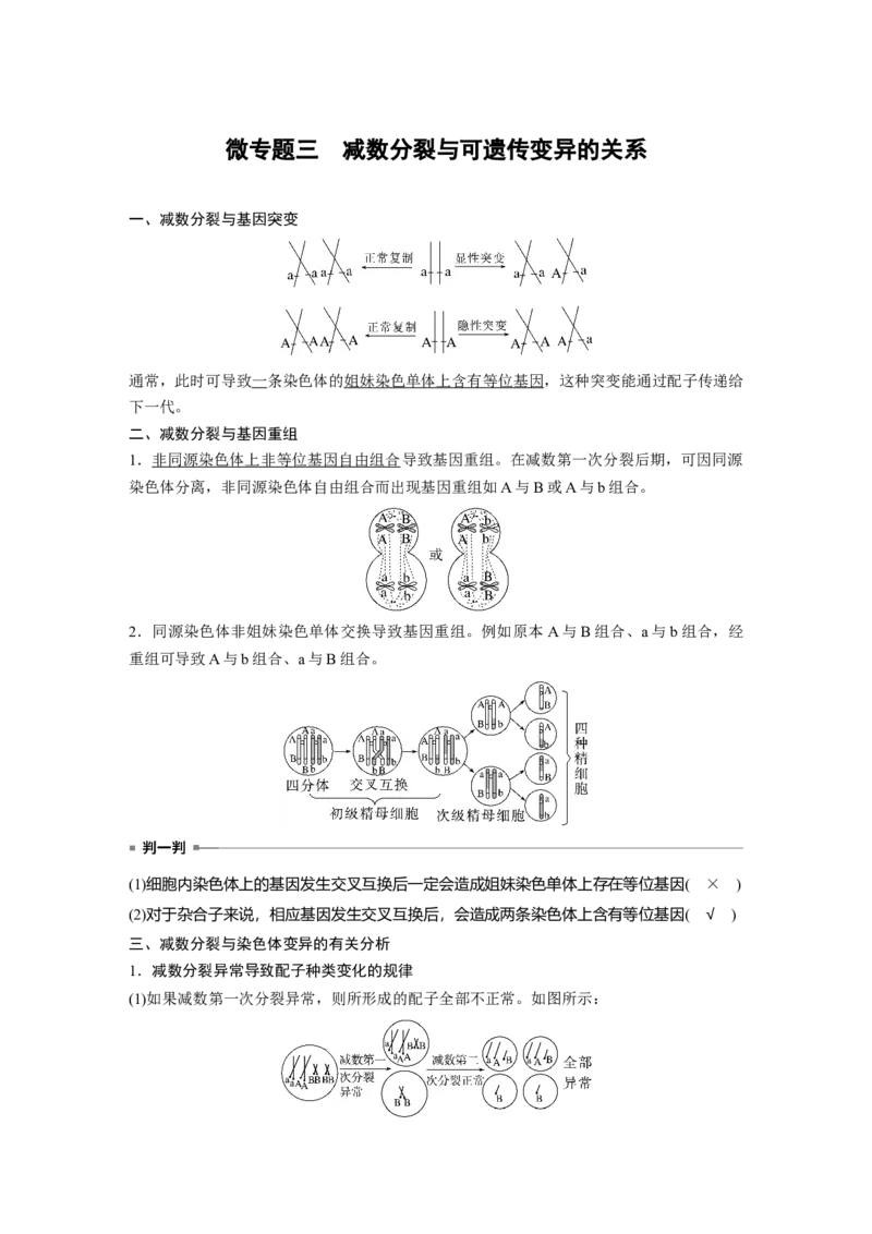 2023年高考生物一轮复习（全国版）第4单元微专题三　减数分裂与可遗传变异的关系_通用版（老高考）复习资料_2023年复习资料_一轮复习_2023年高考生物一轮复习讲义+课件（全国版）