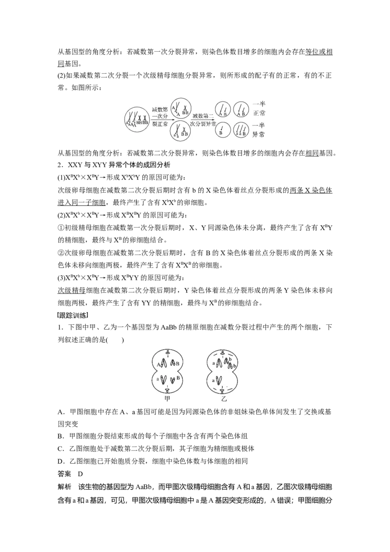 2023年高考生物一轮复习（全国版）第4单元微专题三　减数分裂与可遗传变异的关系_通用版（老高考）复习资料_2023年复习资料_一轮复习_2023年高考生物一轮复习讲义+课件（全国版）