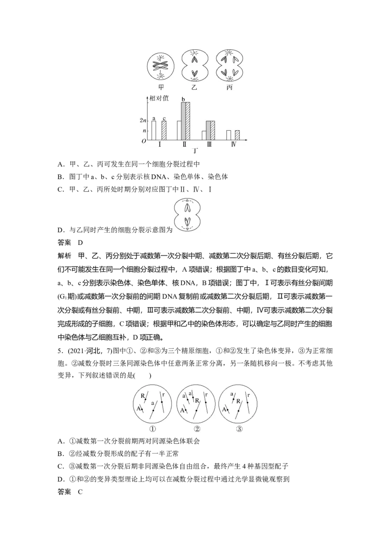 2023年高考生物一轮复习（全国版）第4单元微专题三　减数分裂与可遗传变异的关系_通用版（老高考）复习资料_2023年复习资料_一轮复习_2023年高考生物一轮复习讲义+课件（全国版）