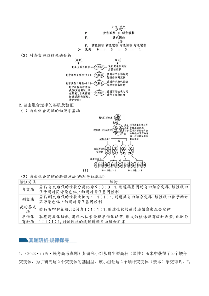 第07讲基因的分离定律和自由组合定律（讲义）原卷版_2024年新高考资料_2.2024二轮复习_2024年高考生物二轮复习讲练测（新教材新高考）
