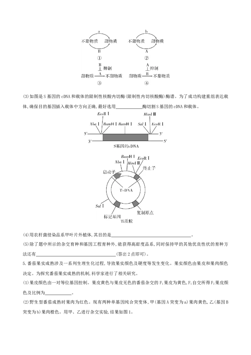 押第24题遗传与进化模块（原卷版）_2024年新高考资料_5.2024三轮冲刺_备战2024年高考生物临考题号押题（辽宁、黑龙江、吉林专用）322857720