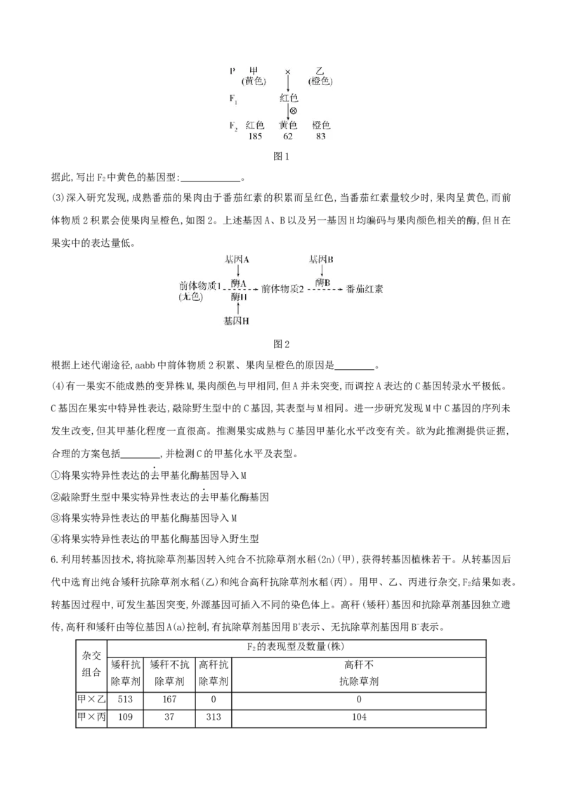 押第24题遗传与进化模块（原卷版）_2024年新高考资料_5.2024三轮冲刺_备战2024年高考生物临考题号押题（辽宁、黑龙江、吉林专用）322857720
