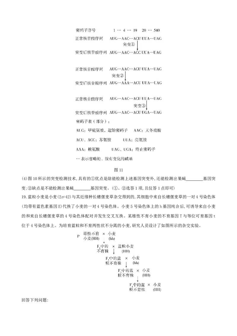 押第24题遗传与进化模块（原卷版）_2024年新高考资料_5.2024三轮冲刺_备战2024年高考生物临考题号押题（辽宁、黑龙江、吉林专用）322857720
