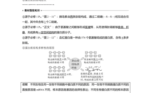 2023年高考生物一轮复习（新人教新高考）第1单元第3课时　蛋白质是生命活动的主要承担者_新高考复习资料_2023年新高考复习资料_一轮复习_2023年新高考大一轮复习讲义