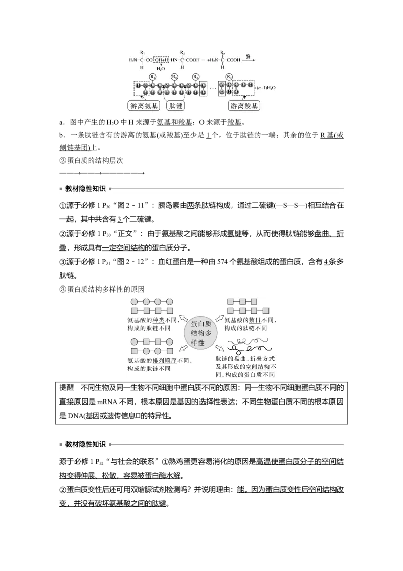2023年高考生物一轮复习（新人教新高考）第1单元第3课时　蛋白质是生命活动的主要承担者_新高考复习资料_2023年新高考复习资料_一轮复习_2023年新高考大一轮复习讲义