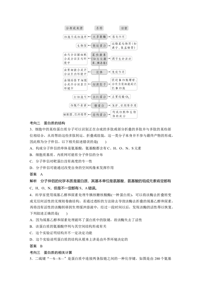 2023年高考生物一轮复习（新人教新高考）第1单元第3课时　蛋白质是生命活动的主要承担者_新高考复习资料_2023年新高考复习资料_一轮复习_2023年新高考大一轮复习讲义