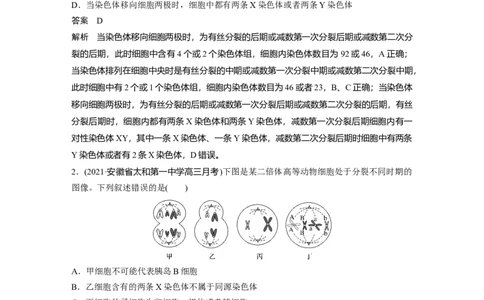 2022年高考生物一轮复习第4单元强化练7　有丝分裂和减数分裂的综合分析_新高考复习资料_2022年新高考复习资料_2022年一轮复习最新版_1.2022年高考生物一轮复习全国通用版