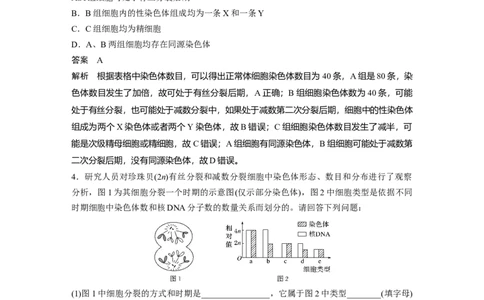2022年高考生物一轮复习第4单元强化练7　有丝分裂和减数分裂的综合分析_新高考复习资料_2022年新高考复习资料_2022年一轮复习最新版_1.2022年高考生物一轮复习全国通用版