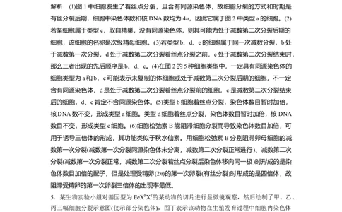 2022年高考生物一轮复习第4单元强化练7　有丝分裂和减数分裂的综合分析_新高考复习资料_2022年新高考复习资料_2022年一轮复习最新版_1.2022年高考生物一轮复习全国通用版