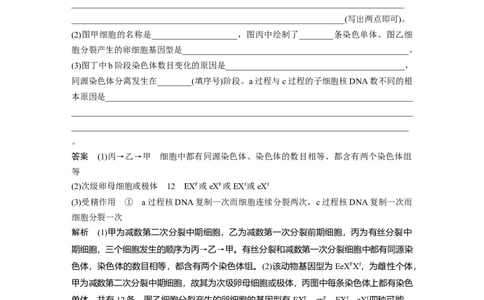 2022年高考生物一轮复习第4单元强化练7　有丝分裂和减数分裂的综合分析_新高考复习资料_2022年新高考复习资料_2022年一轮复习最新版_1.2022年高考生物一轮复习全国通用版