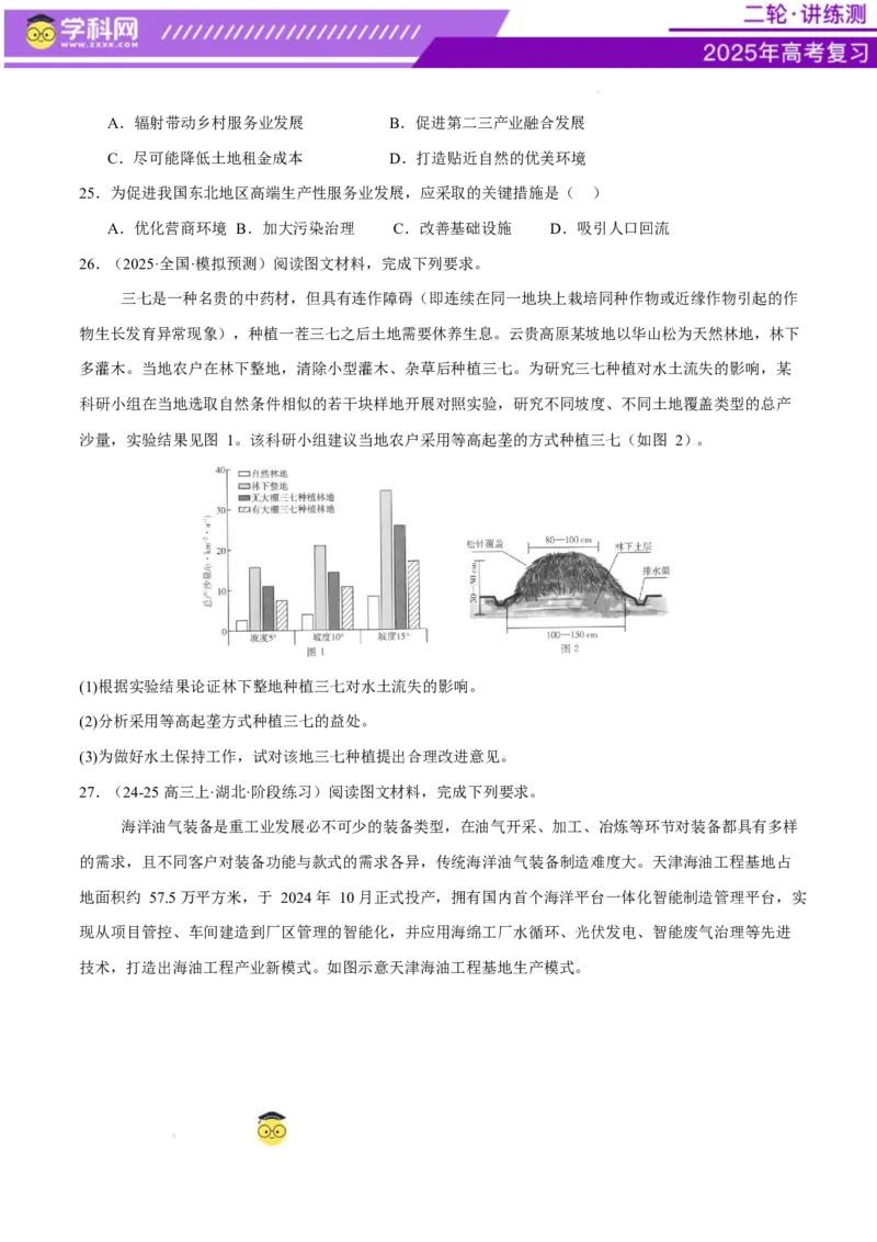 专题09产业区位与产业发展（练习）（原卷版）_2025年新高考资料_二轮复习_上好课2025年高考地理二轮复习讲练测（新高考通用）3381954