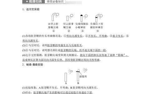 2023年高考生物一轮复习（新人教新高考）第8单元第8课时　植物生长素及其生理作用_新高考复习资料_2023年新高考复习资料_一轮复习_2023年新高考大一轮复习讲义