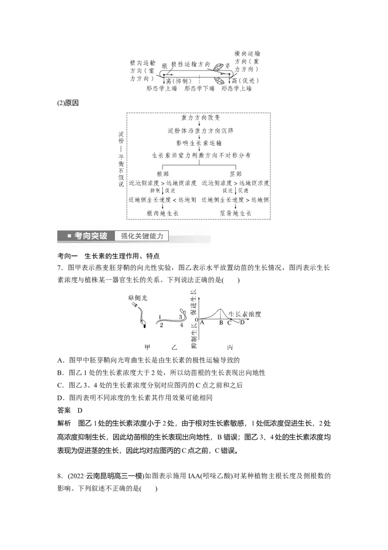 2023年高考生物一轮复习（新人教新高考）第8单元第8课时　植物生长素及其生理作用_新高考复习资料_2023年新高考复习资料_一轮复习_2023年新高考大一轮复习讲义