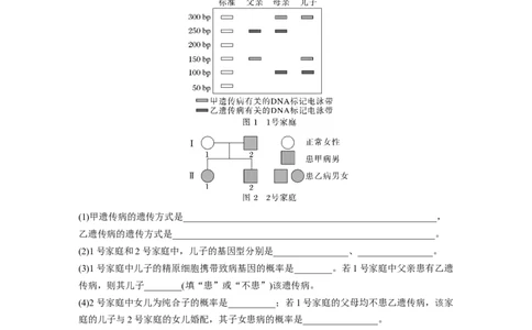 2023年高考生物二轮复习（全国版）第3篇考前特训专项三(二)遗传变异_通用版（老高考）复习资料_2023年复习资料_二轮复习_2023年高考生物二轮复习讲义+课件（全国版）
