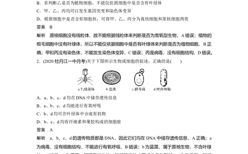 2022年高考生物一轮复习第2单元强化练2　细胞的亚显微结构与功能_新高考复习资料_2022年新高考复习资料_2022年一轮复习最新版_1.2022年高考生物一轮复习全国通用版