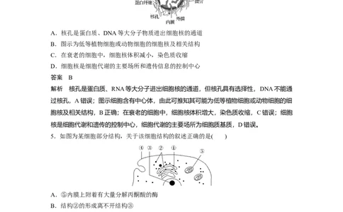 2022年高考生物一轮复习第2单元强化练2　细胞的亚显微结构与功能_新高考复习资料_2022年新高考复习资料_2022年一轮复习最新版_1.2022年高考生物一轮复习全国通用版