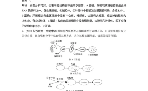 2022年高考生物一轮复习第2单元强化练2　细胞的亚显微结构与功能_新高考复习资料_2022年新高考复习资料_2022年一轮复习最新版_1.2022年高考生物一轮复习全国通用版