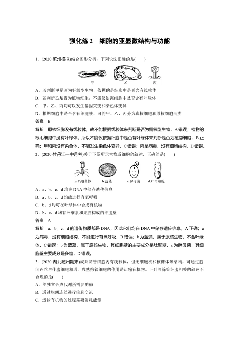 2022年高考生物一轮复习第2单元强化练2　细胞的亚显微结构与功能_新高考复习资料_2022年新高考复习资料_2022年一轮复习最新版_1.2022年高考生物一轮复习全国通用版