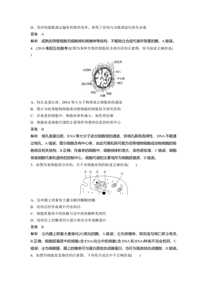 2022年高考生物一轮复习第2单元强化练2　细胞的亚显微结构与功能_新高考复习资料_2022年新高考复习资料_2022年一轮复习最新版_1.2022年高考生物一轮复习全国通用版