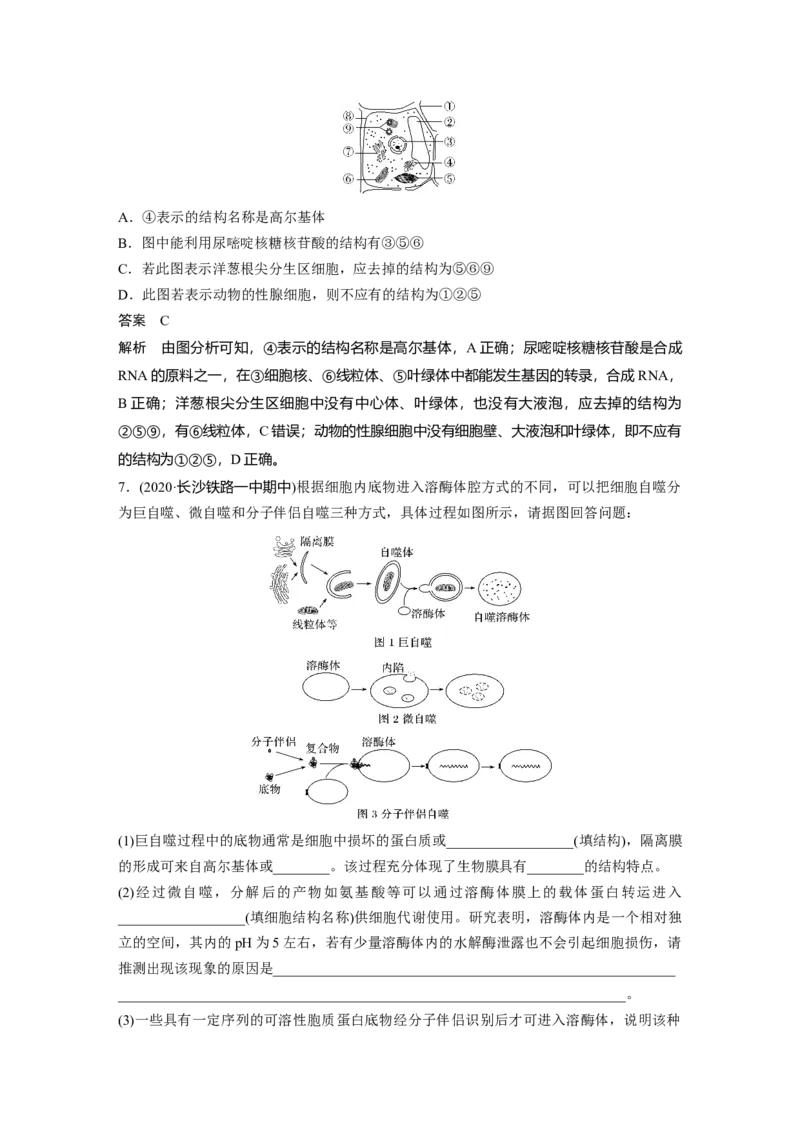 2022年高考生物一轮复习第2单元强化练2　细胞的亚显微结构与功能_新高考复习资料_2022年新高考复习资料_2022年一轮复习最新版_1.2022年高考生物一轮复习全国通用版