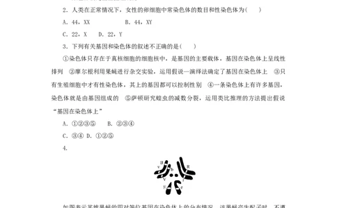 2023版新教材高考生物微专题小练习专练43基因在染色体上202208091210_通用版（老高考）复习资料_2023年复习资料_一轮复习_2023届高考生物一轮微专题100练