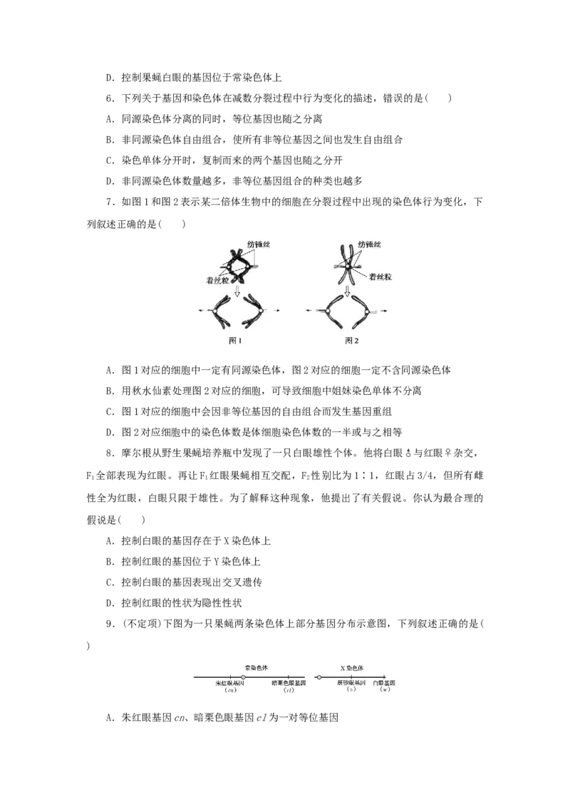 2023版新教材高考生物微专题小练习专练43基因在染色体上202208091210_通用版（老高考）复习资料_2023年复习资料_一轮复习_2023届高考生物一轮微专题100练