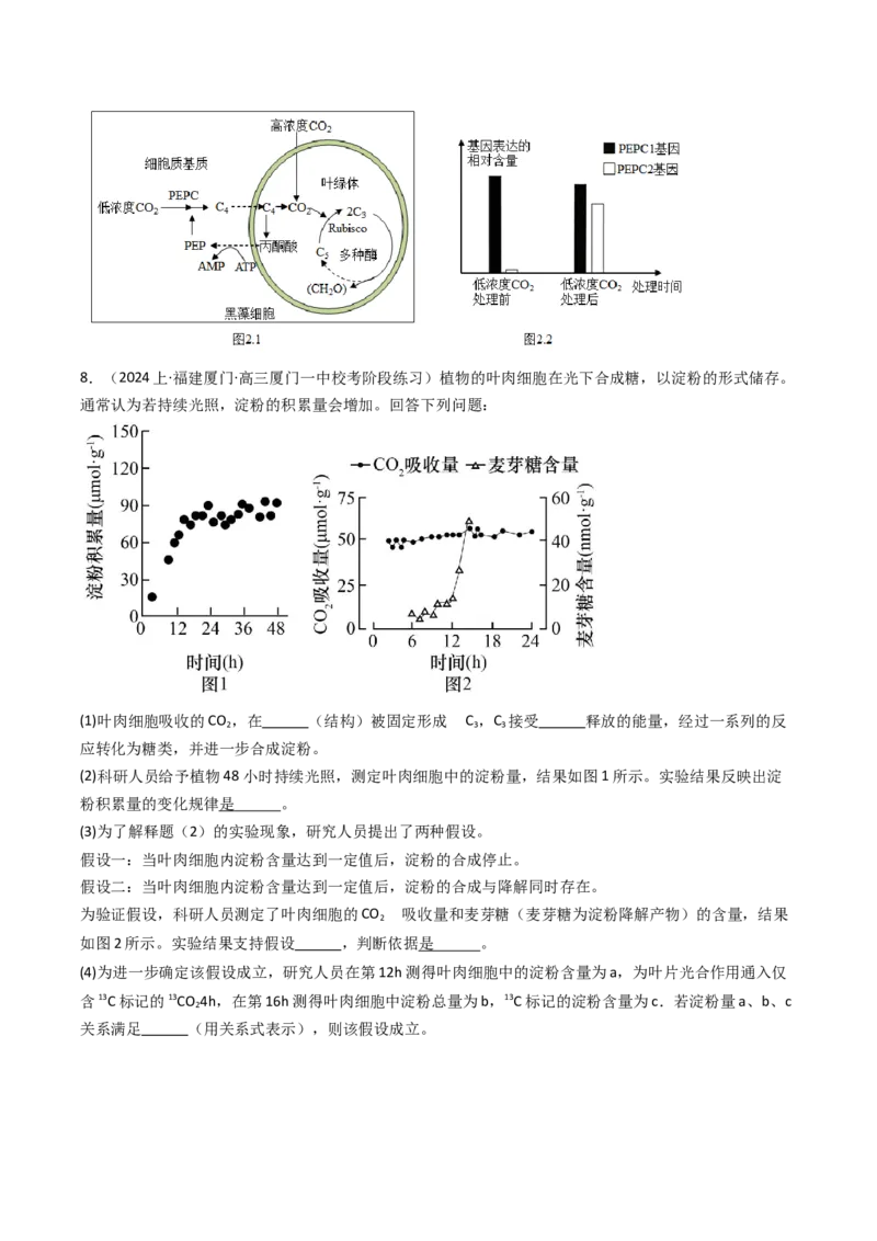 热点02C3植物、C4植物和CAM植物的光合作用（原卷版）_2024年新高考资料_3.2024专项复习_2024年高考生物热点&middot;重点&middot;难点专练（新高考专用）