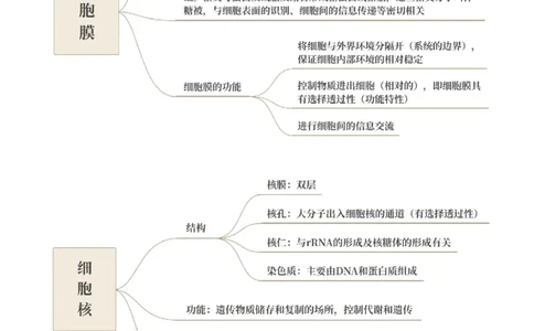押新高考卷细胞的结构与物质进出细胞的方式（原卷版）-备战2024年高考生物临考题号押题（新高考通用）_2024年新高考资料_5.2024三轮冲刺_押单项选择题