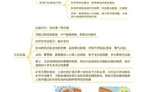 押新高考卷细胞的结构与物质进出细胞的方式（原卷版）-备战2024年高考生物临考题号押题（新高考通用）_2024年新高考资料_5.2024三轮冲刺_押单项选择题