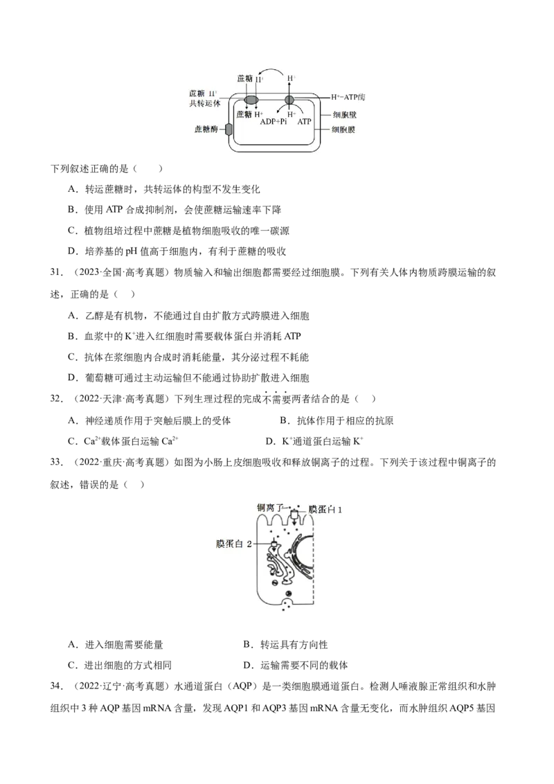 押新高考卷细胞的结构与物质进出细胞的方式（原卷版）-备战2024年高考生物临考题号押题（新高考通用）_2024年新高考资料_5.2024三轮冲刺_押单项选择题
