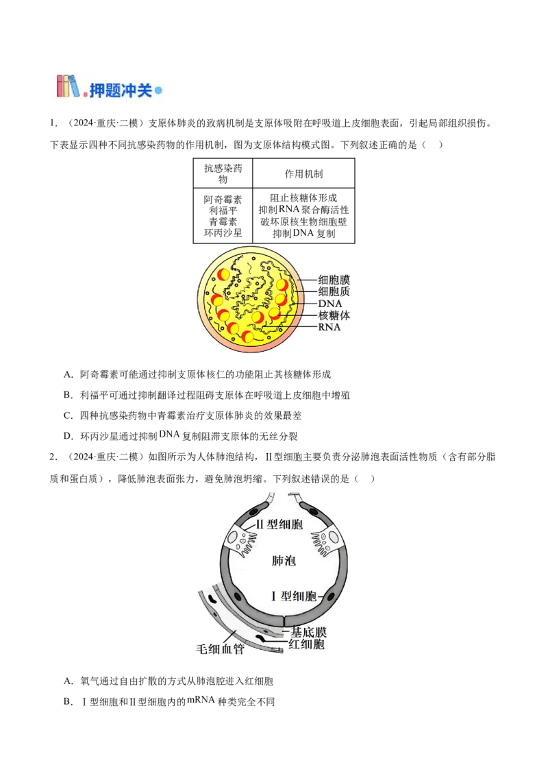 押新高考卷细胞的结构与物质进出细胞的方式（原卷版）-备战2024年高考生物临考题号押题（新高考通用）_2024年新高考资料_5.2024三轮冲刺_押单项选择题
