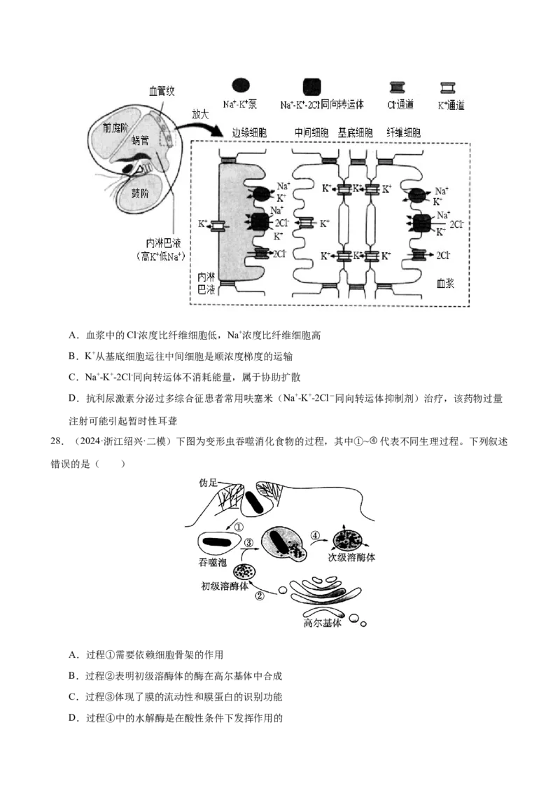 押新高考卷细胞的结构与物质进出细胞的方式（原卷版）-备战2024年高考生物临考题号押题（新高考通用）_2024年新高考资料_5.2024三轮冲刺_押单项选择题
